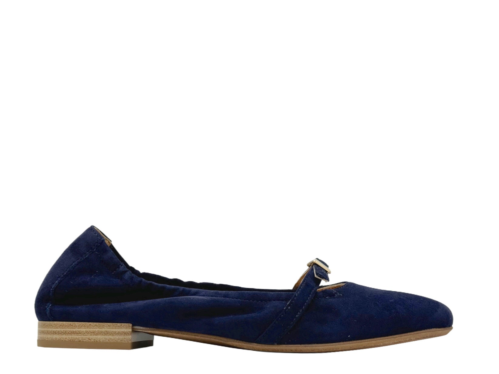Donna Carolina - 170179 (Navy)