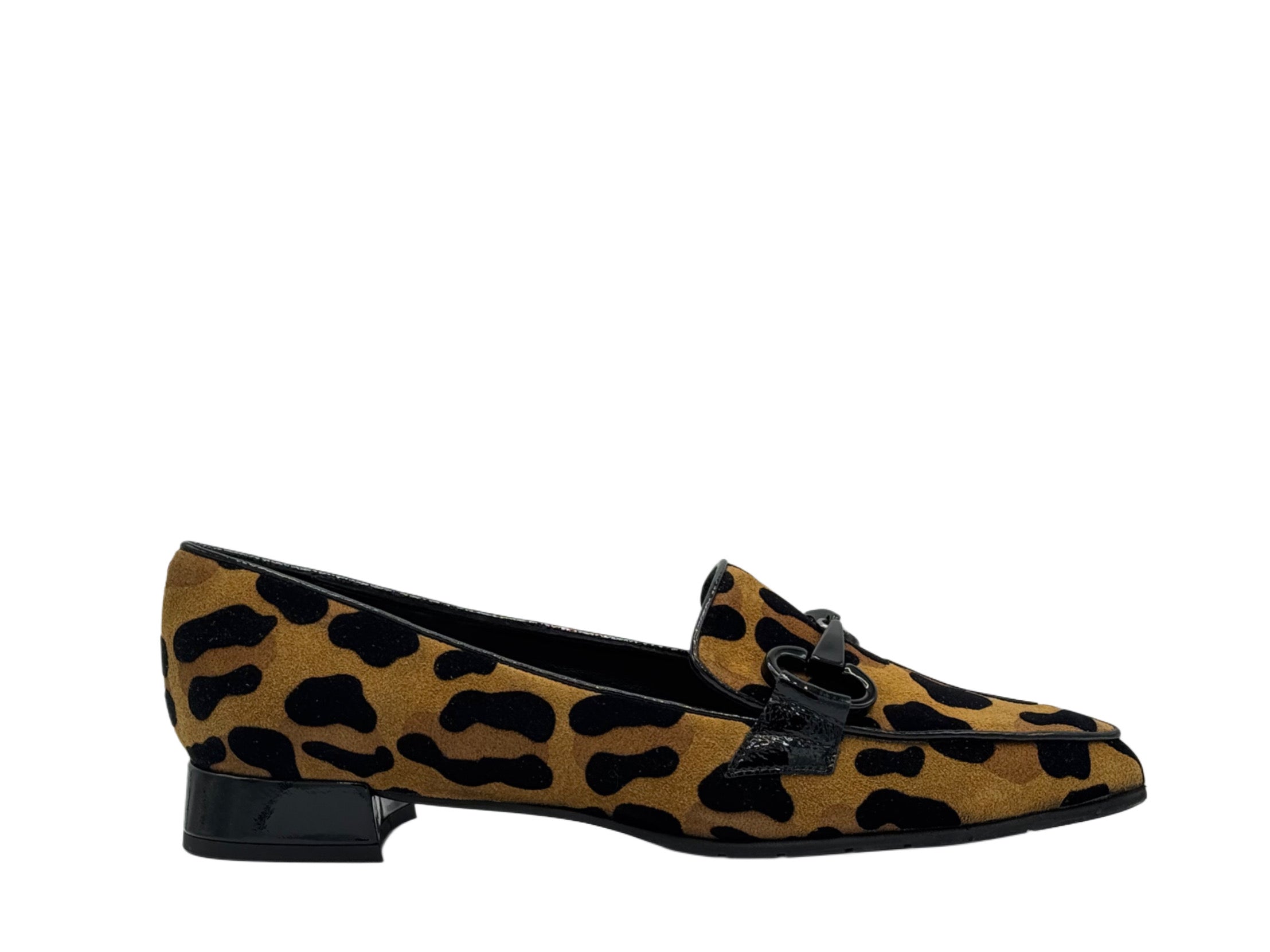Luca Grossi - CH678 (Leopard)