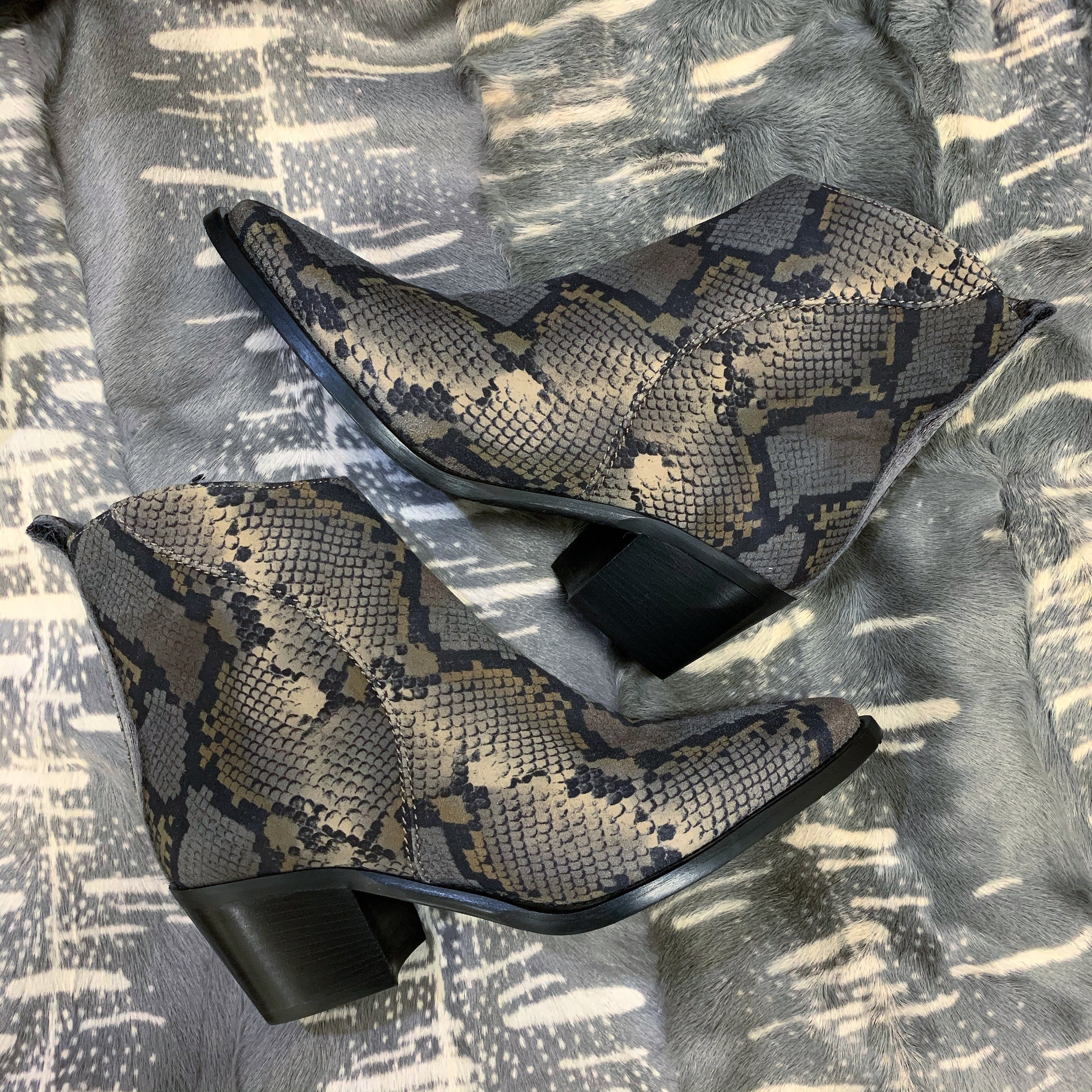Donna Carolina - 100097 (Snake)
