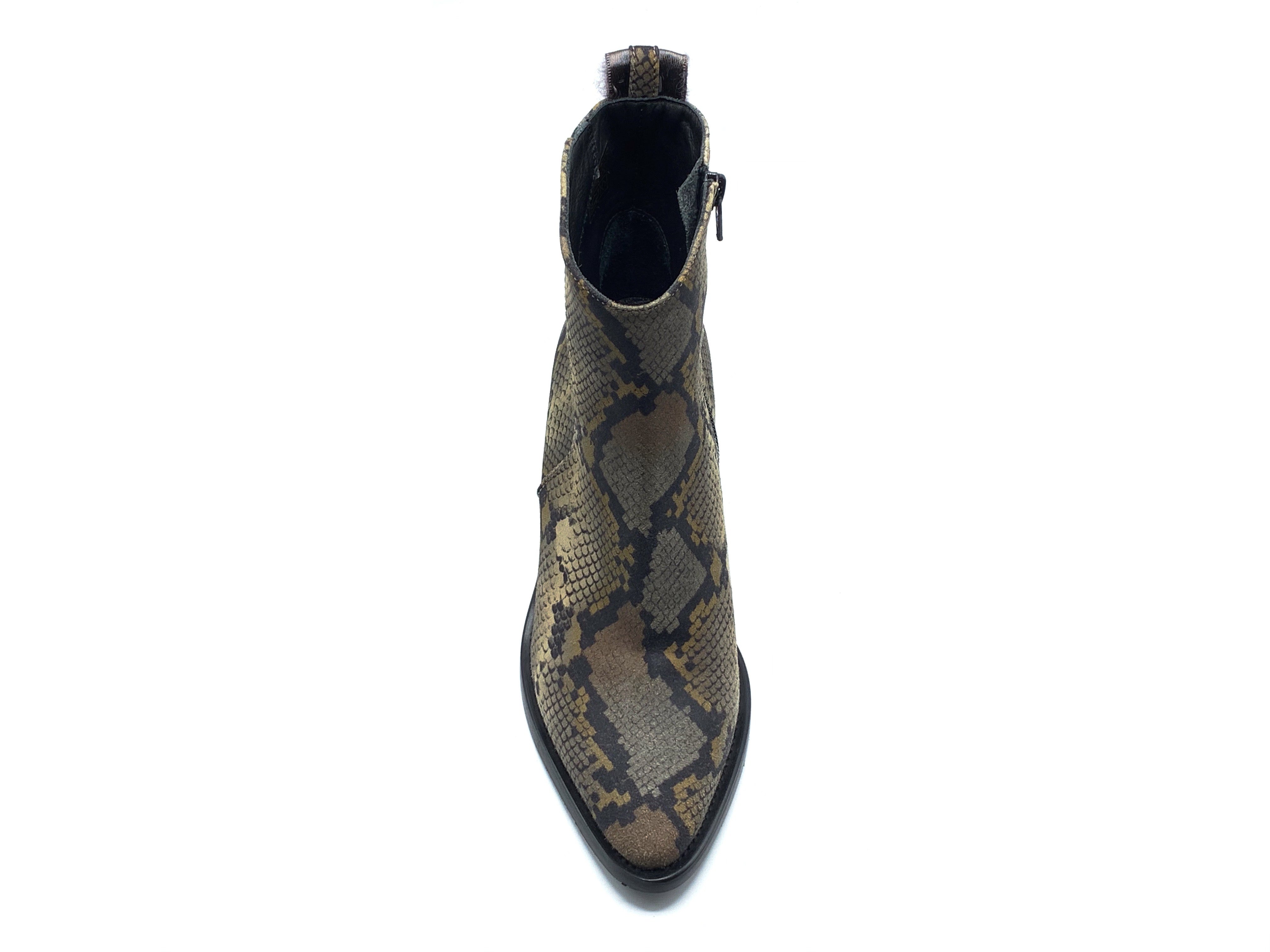 Donna Carolina - 100097 (Snake)