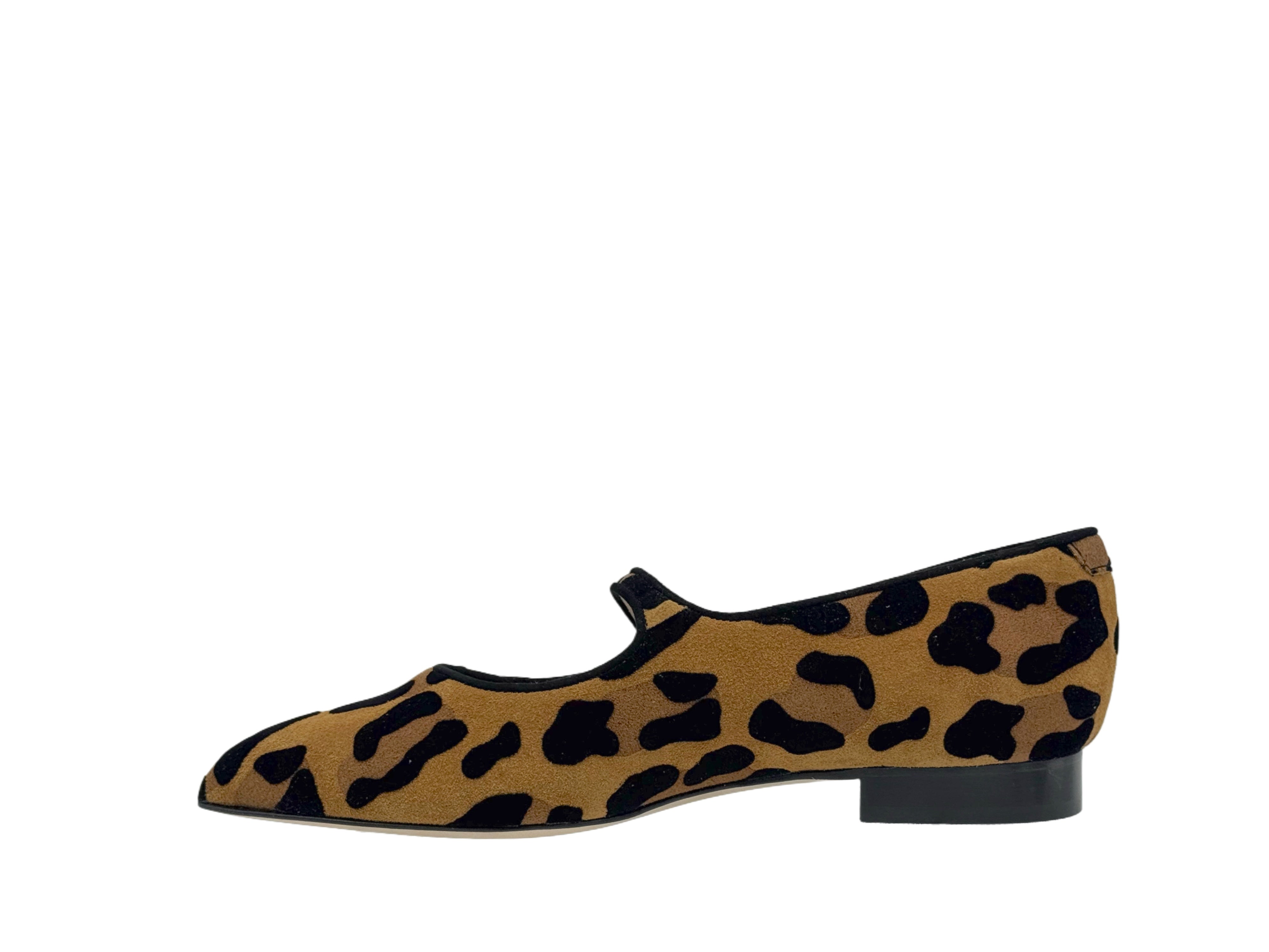 Luca Grossi - CH981 (Leopard)